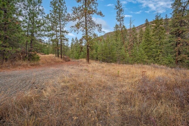 31293 E Blue Grouse Dr, Davenport, WA 99122 - photo 27