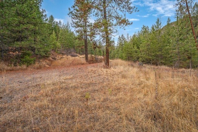 31293 E Blue Grouse Dr, Davenport, WA 99122 - photo 28