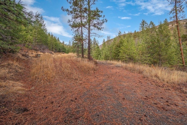 31293 E Blue Grouse Dr, Davenport, WA 99122 - photo 4