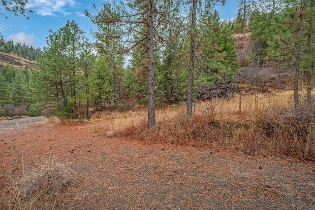 31293 E Blue Grouse Dr, Davenport, WA 99122 - photo 31
