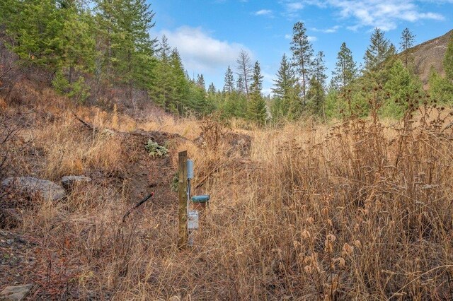 31293 E Blue Grouse Dr, Davenport, WA 99122 - photo 5