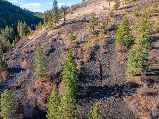 31293 E Blue Grouse Dr, Davenport, WA 99122 - photo 43
