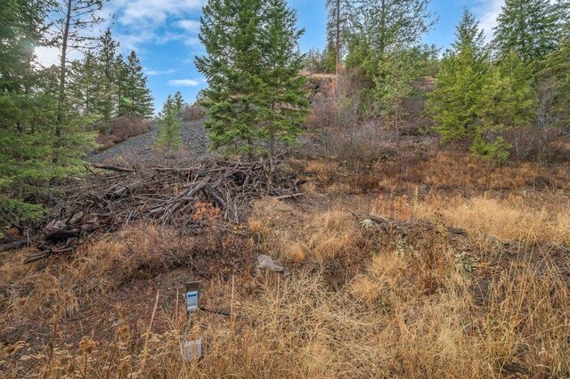 31293 E Blue Grouse Dr, Davenport, WA 99122 - photo 6
