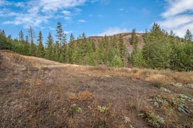 31293 E Blue Grouse Dr, Davenport, WA 99122 - photo 7