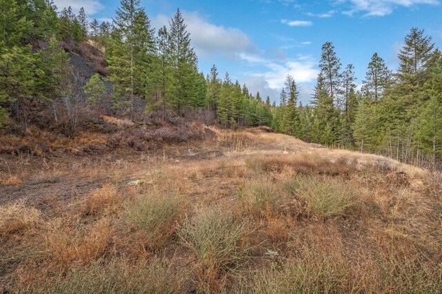 31293 E Blue Grouse Dr, Davenport, WA 99122 - photo 8