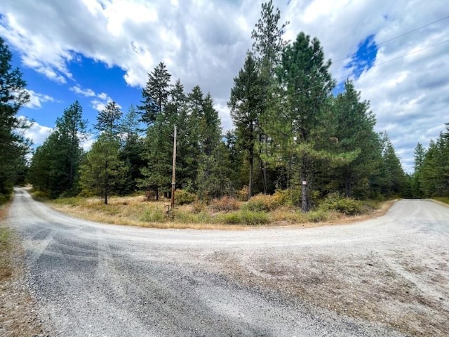 11618 E Dusty Ln, Chattaroy, WA 99003