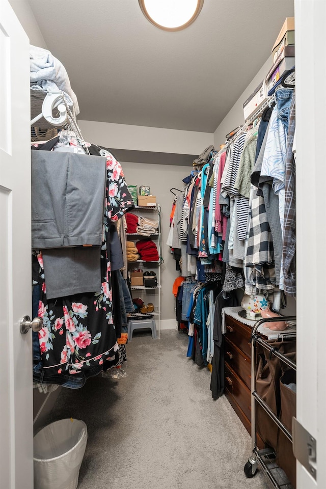 1473 W Jay Ct, Spokane, WA 99208 - walk in closet with carpet floors