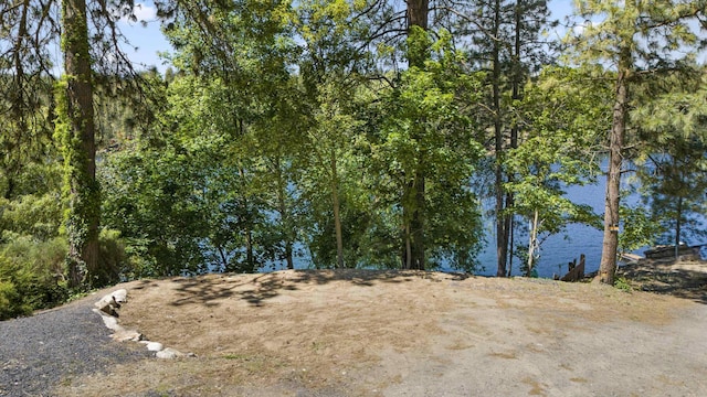 TBD Myrtle Dr, Nine Mile Falls, WA 99026