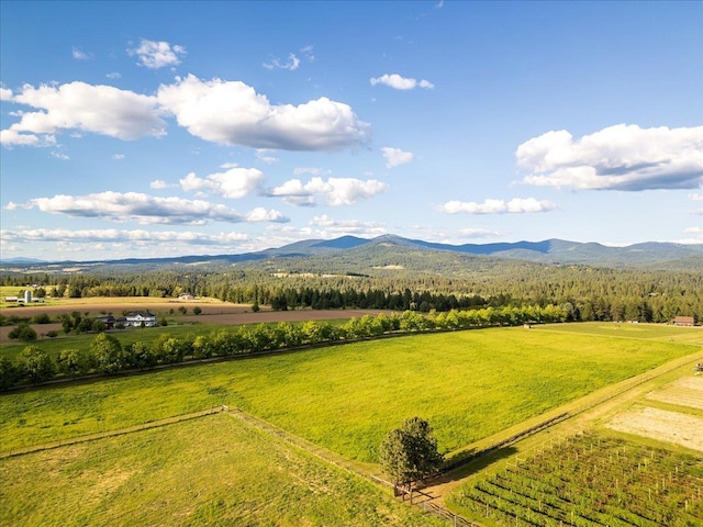 10621 E Day Mt (North & S Parcels Combined), Mead, WA 99021