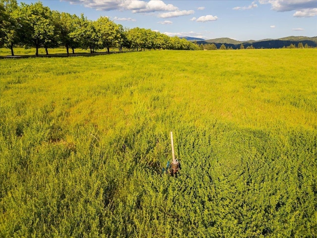 10621 E Day Mt (North & S Parcels Combined), Mead, WA 99021