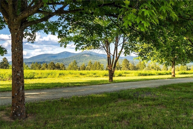 10621 E Day Mt (North & S Parcels Combined), Mead, WA 99021