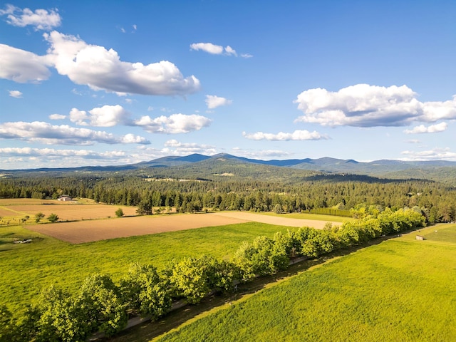 10621 E Day Mt (North & S Parcels Combined), Mead, WA 99021