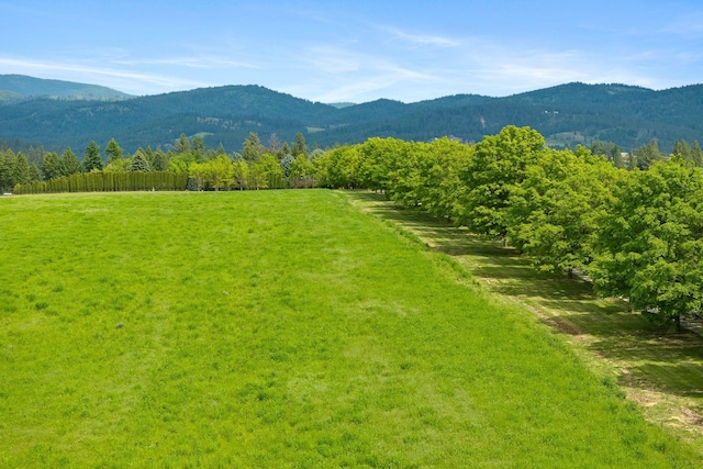 10621 E Day Mt (North & S Parcels Combined), Mead, WA 99021