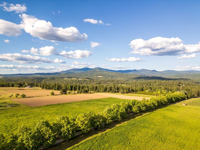 10621 E Day Mt (North & S Parcels Combined), Mead, WA 99021 - photo 9