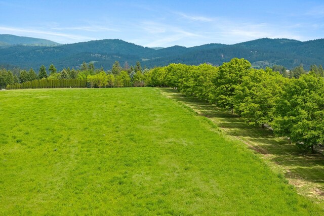 10621 E Day Mt (North & S Parcels Combined), Mead, WA 99021 - photo 10