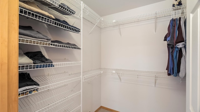 6314 W Skagit Ave, Spokane, WA 99208 - view of spacious closet