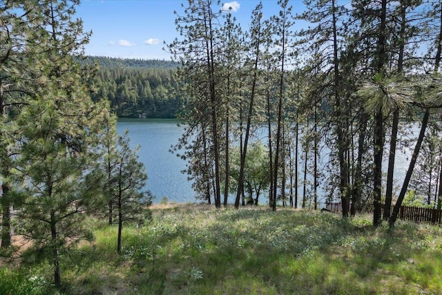 12823 W Shore Rd, Nine Mile Falls, WA 99026