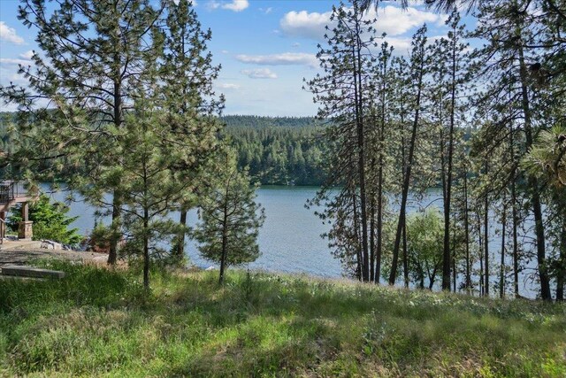 12823 W Shore Rd, Nine Mile Falls, WA 99026