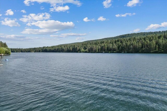 12823 W Shore Rd, Nine Mile Falls, WA 99026