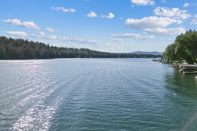 12823 W Shore Rd, Nine Mile Falls, WA 99026