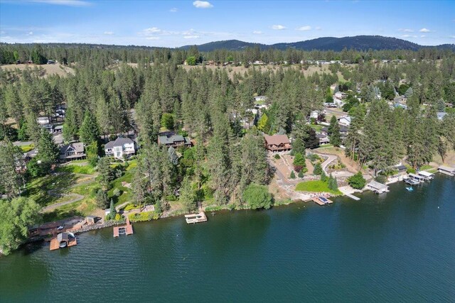 12823 W Shore Rd, Nine Mile Falls, WA 99026