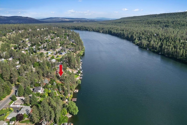 12823 W Shore Rd, Nine Mile Falls, WA 99026