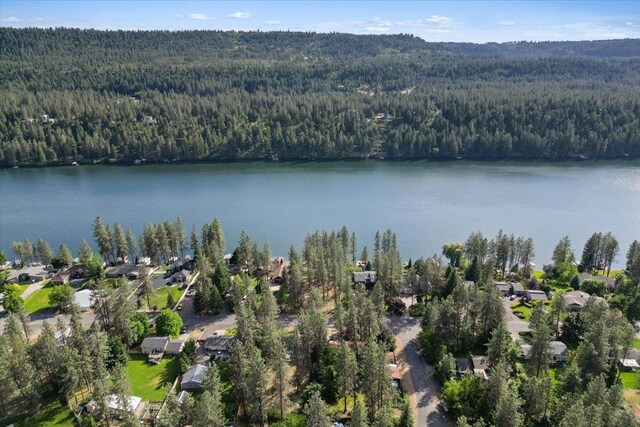 12823 W Shore Rd, Nine Mile Falls, WA 99026