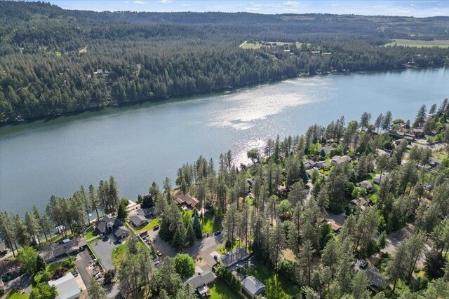 12823 W Shore Rd, Nine Mile Falls, WA 99026