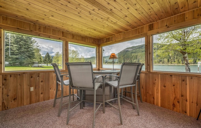 1651 Riverbend Loop Rd, Cusick, WA 99119 - sunroom / solarium with wood walls, healthy amount of natural light, carpet floors, and wooden ceiling