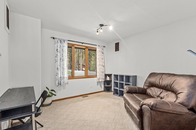 2378 Eagle River Way, Kettle Falls, WA 99141 - living area featuring carpet, rail lighting, and baseboards