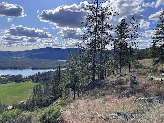 6581 Saddle Mountain Way, Deer Park, WA 99006