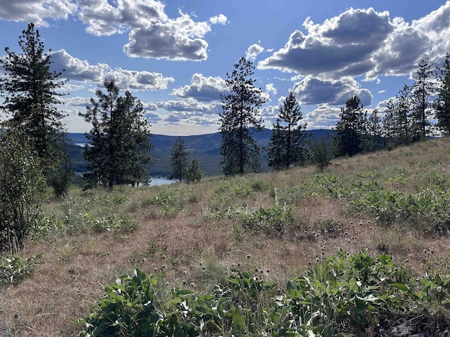 6581 Saddle Mountain Way, Deer Park, WA 99006