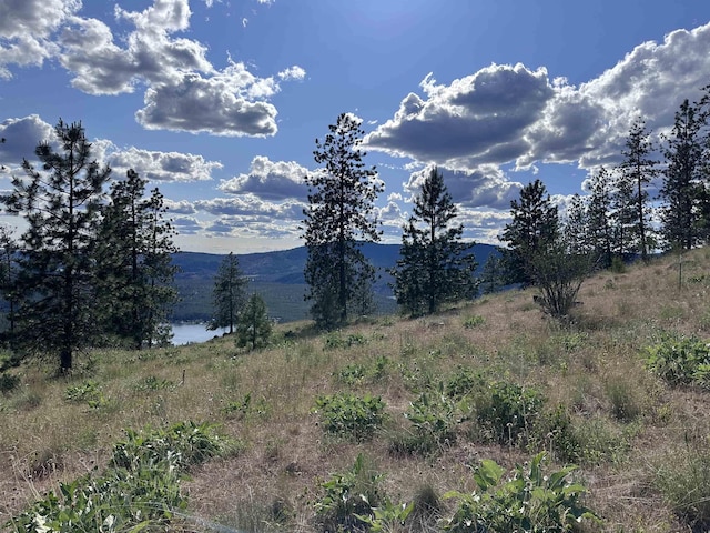 6581 Saddle Mountain Way, Deer Park, WA 99006