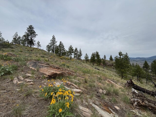 8XX Upper Reevas Basin Rd Lot 3628012011, Lot 3628012011, WA 98855