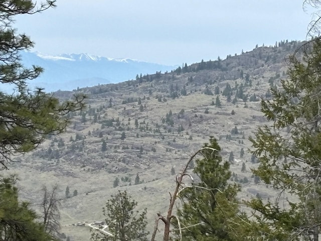 8XX Upper Reevas Basin Rd Lot 3628012011, Lot 3628012011, WA 98855