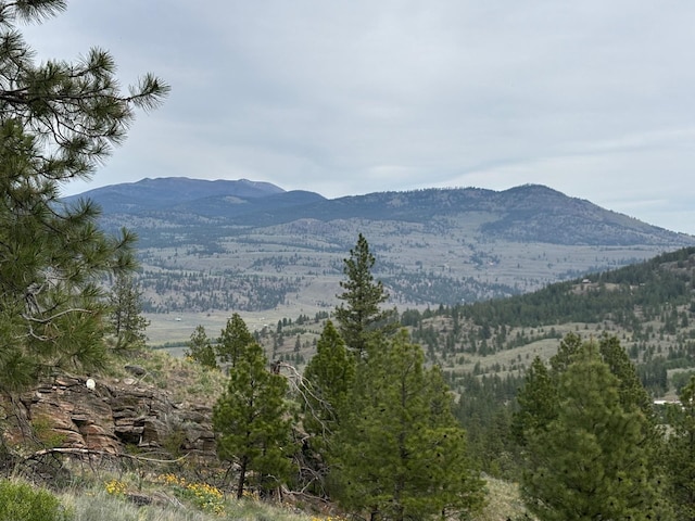 8XX Upper Reevas Basin Rd Lot 3628012011, Lot 3628012011, WA 98855