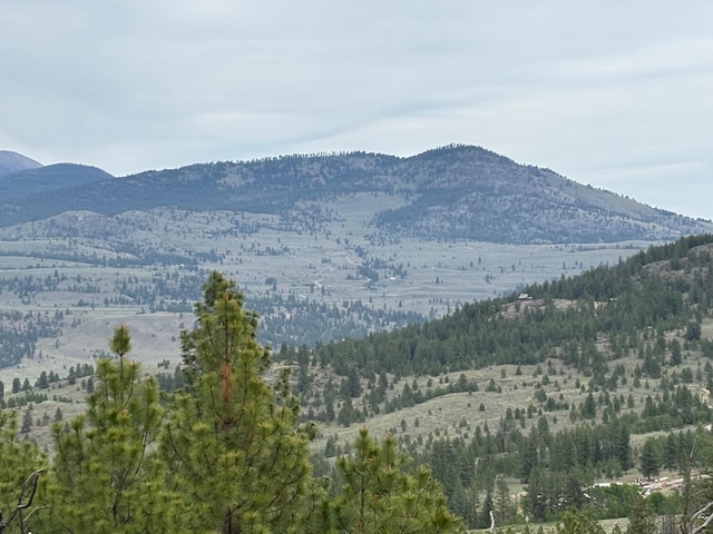 8XX Upper Reevas Basin Rd Lot 3628012011, Lot 3628012011, WA 98855