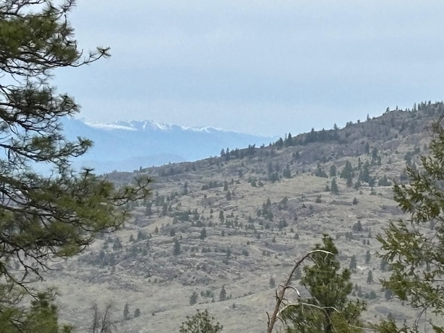 8XX Upper Reevas Basin Rd Lot 3628012011, Lot 3628012011, WA 98855