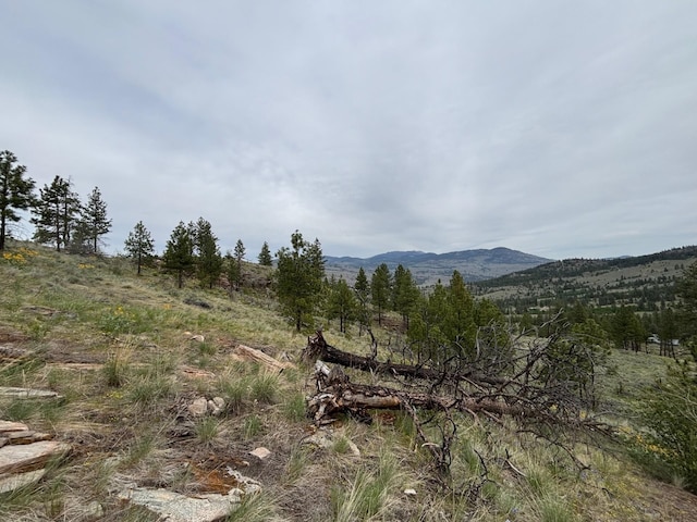 8XX Upper Reevas Basin Rd Lot 3628012011, Lot 3628012011, WA 98855
