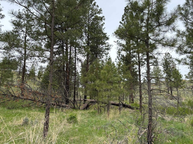 8XX Upper Reevas Basin Rd Lot 3628012011, Lot 3628012011, WA 98855