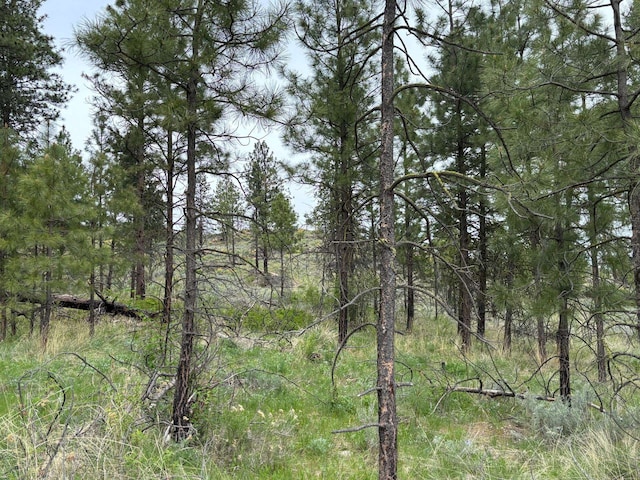 8XX Upper Reevas Basin Rd Lot 3628012011, Lot 3628012011, WA 98855
