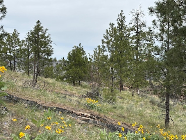 8XX Upper Reevas Basin Rd Lot 3628012011, Lot 3628012011, WA 98855