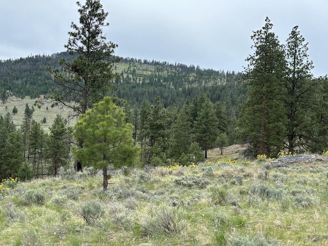 8XX Upper Reevas Basin Rd Lot 3628012011, Lot 3628012011, WA 98855