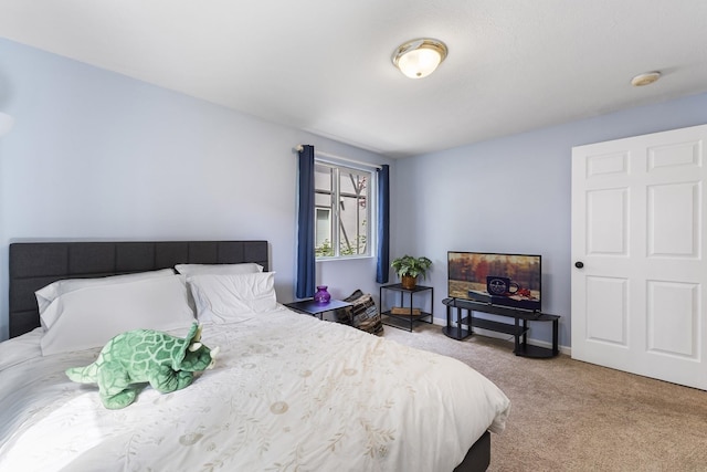 202 E Weile Ave Unit 2, Spokane, WA 99208 - bedroom with carpet floors and baseboards