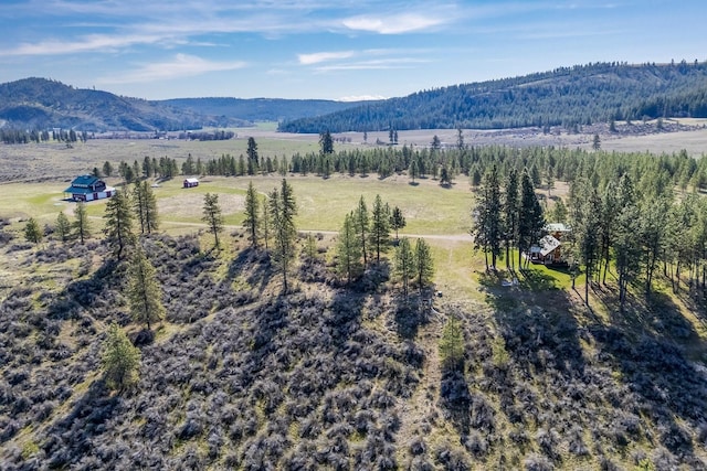 31579 E Hume Rd, Davenport, WA 99122 - view of mountain background featuring rural landscape