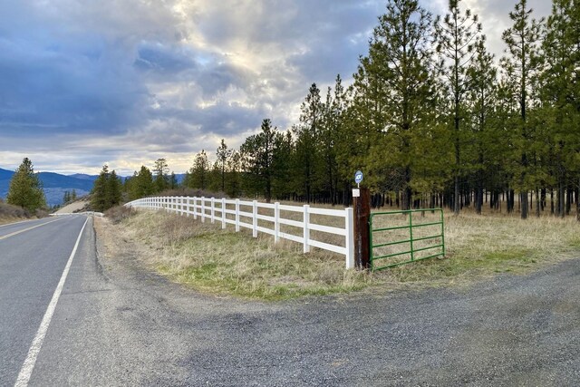 31579 E Hume Rd, Davenport, WA 99122 - view of asphalt street with a mountain view
