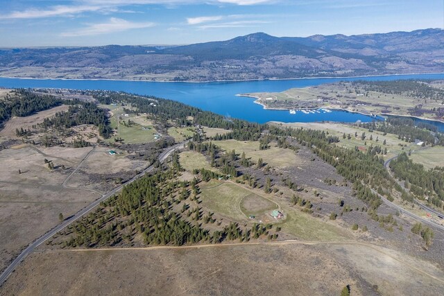 31579 E Hume Rd, Davenport, WA 99122 - aerial view of a water and mountain view