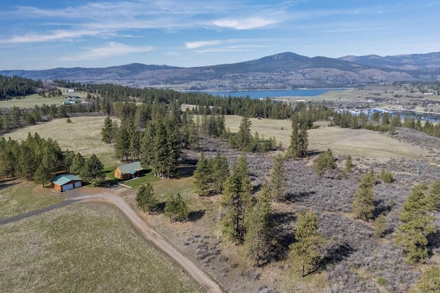 31579 E Hume Rd, Davenport, WA 99122 - bird's eye view of a water and mountain view