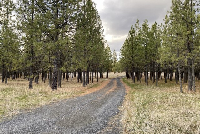 31579 E Hume Rd, Davenport, WA 99122 - view of road
