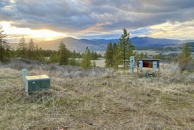 31579 E Hume Rd, Davenport, WA 99122 - mountain view